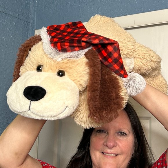 RARE Publix Super Markets Dog Red Plaid Hat Laying 26" Plush Stuffed Animal‎ Toy - Picture 3 of 3